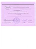 Сертификат участника Всероссийской научно-практической конференции "ОТСМ-РТВ-ТРИЗ в образовательном процессе ДОО"