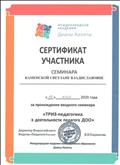 Сертификат участника семинара "ТРИЗ - педагогика в деятельности педагога ДОО"